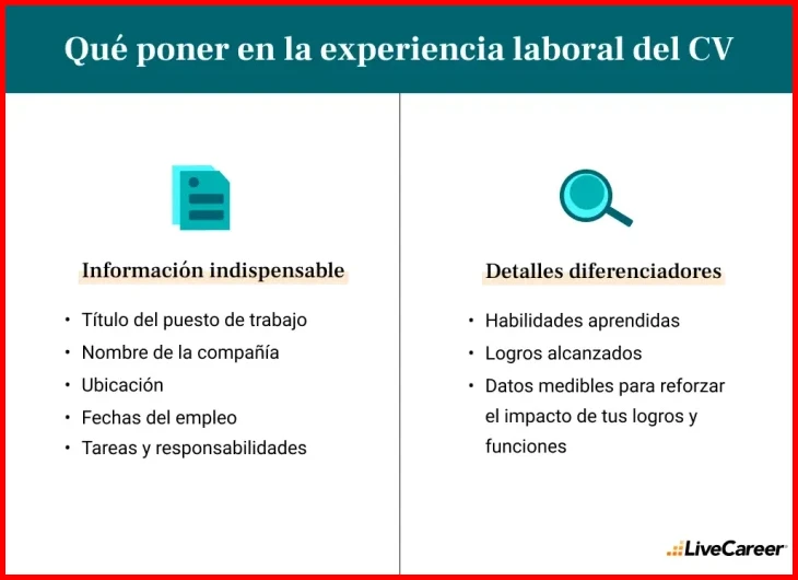 ¿Cómo redactar la experiencia laboral en un currículum: Ejemplos?